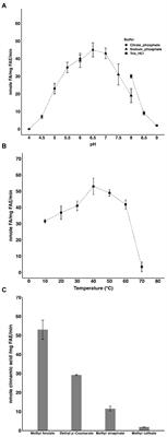 Crystal structure of the feruloyl esterase from Lentilactobacillus buchneri reveals a novel homodimeric state